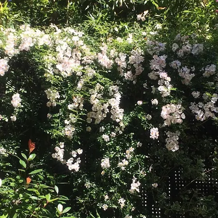 House Facing Roland Garros Stadium - 5 Bedrooms 別荘 ボローニュ・ビランクー